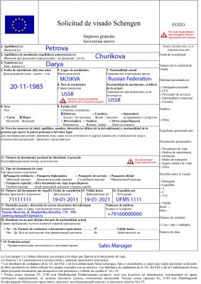 Так выглядит заявление на шенгенскую визу
