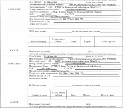 Квитанция об уплате госпошлины