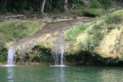 Родник пресной воды в лесу на Кубе