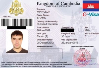 Подать документы через Интернет можно на e-visa