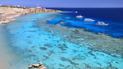 Побережье Красного моря