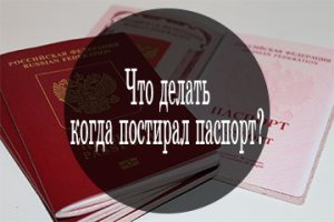 Что делать, если постирали паспорт в стиральной машинке