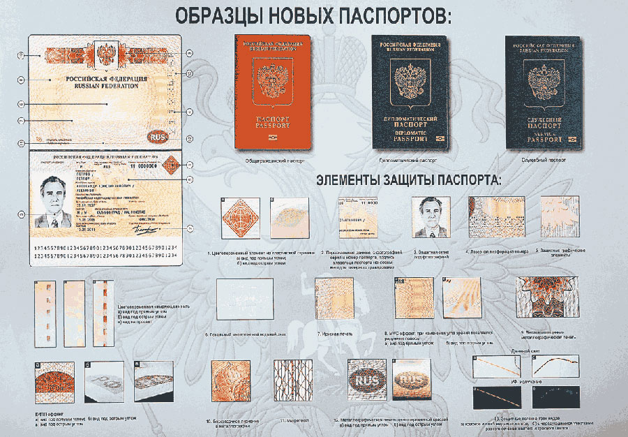 Размер Фото На Заграничный Паспорт