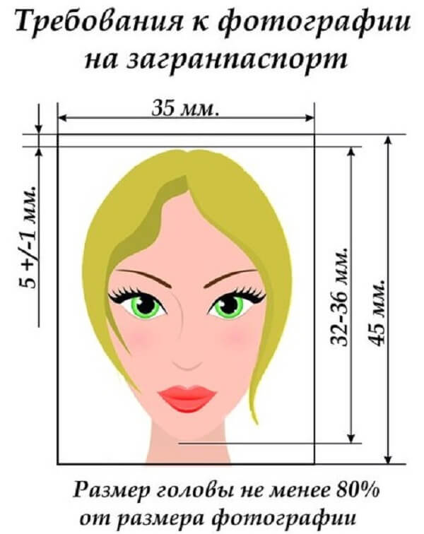 Нужно Ли Фото Для Загранпаспорта Нового Образца